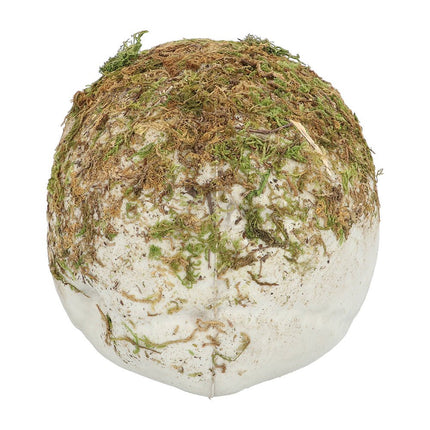 Halloween Schedel Mos 19cm van Boland koop je bij Partywinkel