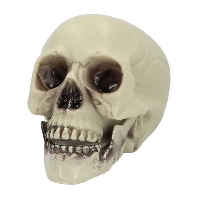 Halloween Schedel Whisperbone 20cm van Boland koop je bij Partywinkel