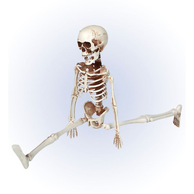 Halloween Skelet Beweegbaar 40cm van Widmann koop je bij Partywinkel