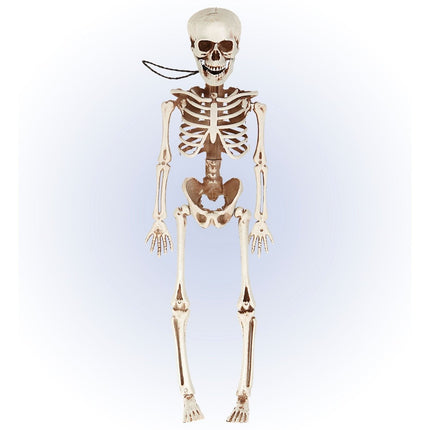 Halloween Skelet Beweegbaar 40cm van Widmann koop je bij Partywinkel