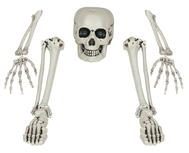 Halloween Skelet Botten 5 delig van Fiestas Guirca koop je bij Partywinkel