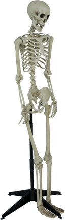 Halloween Skelet Op Standaard 1,55m van Fiestas Guirca koop je bij Partywinkel