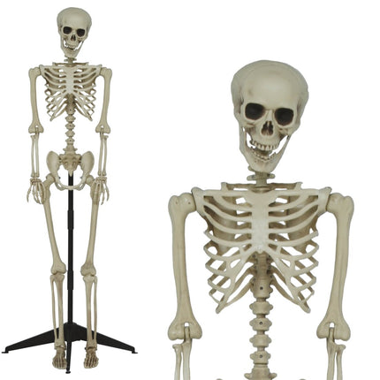 Halloween Skelet Op Standaard 1,55m van Fiestas Guirca koop je bij Partywinkel