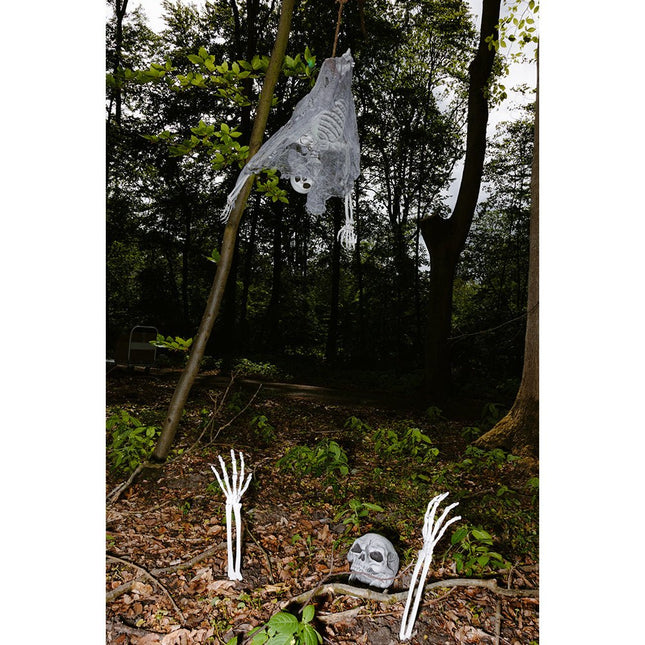 Halloween Skelet Schedel En Armen van Boland koop je bij Partywinkel