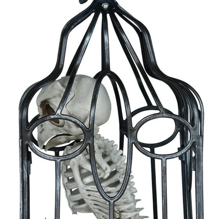 Halloween Skelet Uil In Kooi Met Licht, Geluid En Beweging van Fiestas Guirca koop je bij Partywinkel