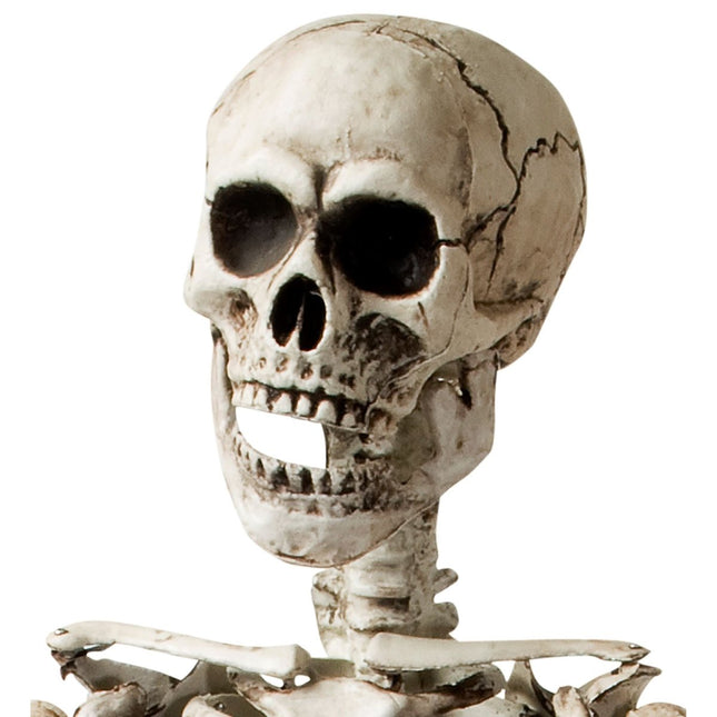 Halloween Skelet Wit 1,6m van Widmann koop je bij Partywinkel