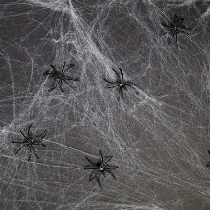 Halloween Spinnenweb 6 Spinnen van Folat koop je bij Partywinkel