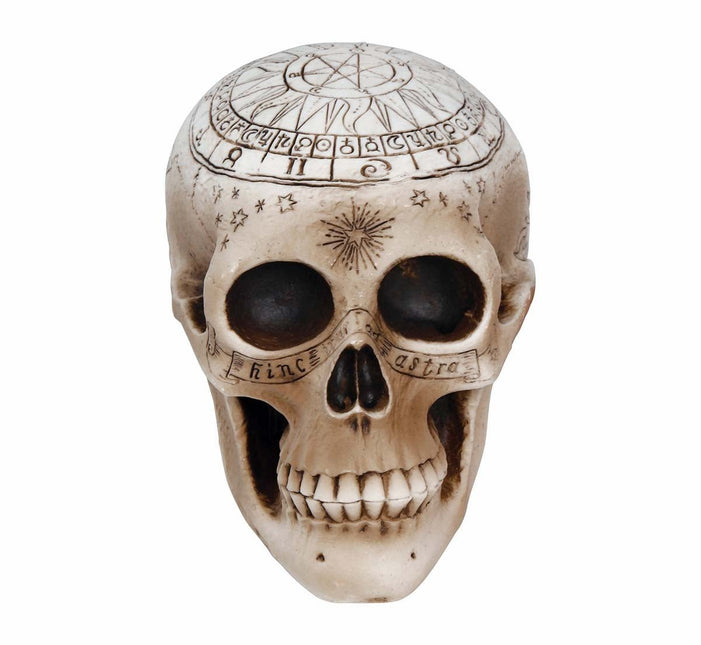 Halloween Tafeldecoratie Schedel 20cm van Fiestas Guirca koop je bij Partywinkel