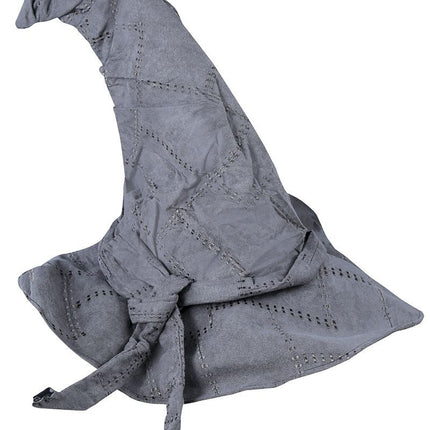 Halloween Tovenaarshoed Grijs van Fiestas Guirca koop je bij Partywinkel