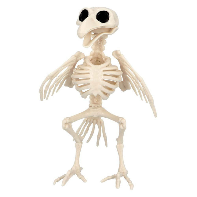 Halloween Vogelskelet 20cm van Boland koop je bij Partywinkel