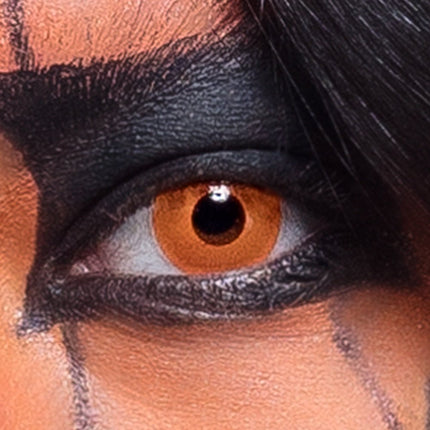 Halloween Weeklenzen Pompoen van Boland koop je bij Partywinkel