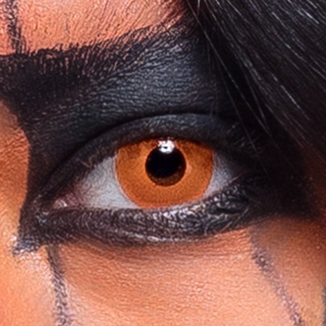 Halloween Weeklenzen Pompoen van Boland koop je bij Partywinkel