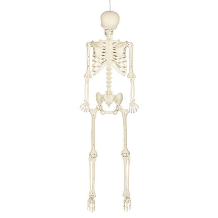 Hangdecoratie Skelet skinny (160 cm) van Boland koop je bij Partywinkel