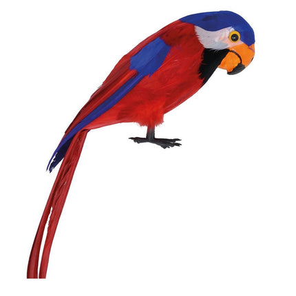 Hawaii Decoratie Papegaai 36cm van Fiestas Guirca koop je bij Partywinkel