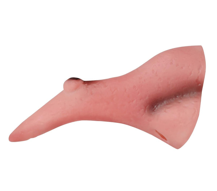 Heksenneus van Fiestas Guirca koop je bij Partywinkel