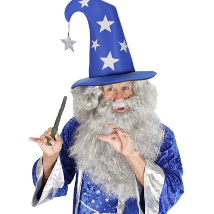 Hoed Tovenaar Met Sterren van Widmann koop je bij Partywinkel