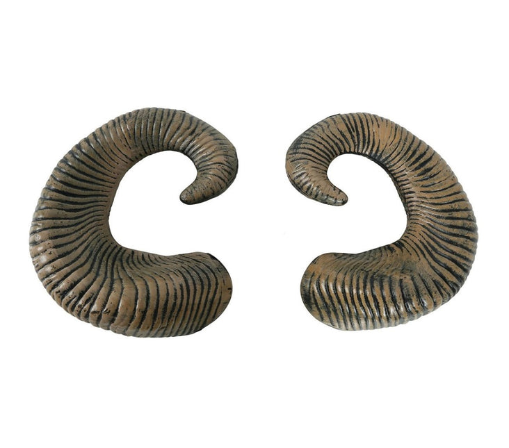 Hoorns van Fiestas Guirca koop je bij Partywinkel