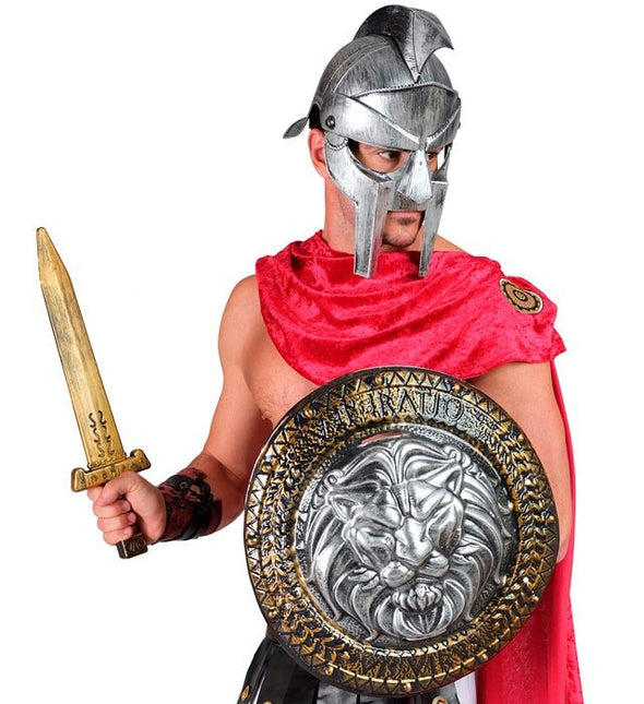 Leeuwenhart Schild en Zwaard van Widmann koop je bij Partywinkel