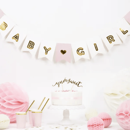 Letterslinger Geboorte Meisje Baby Girl 1,75m van Partydeco koop je bij Partywinkel