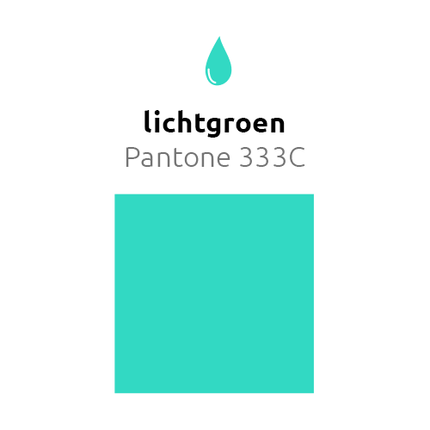 Lichtgroene Ballonnen 30cm 10st van Balloonia koop je bij Partywinkel