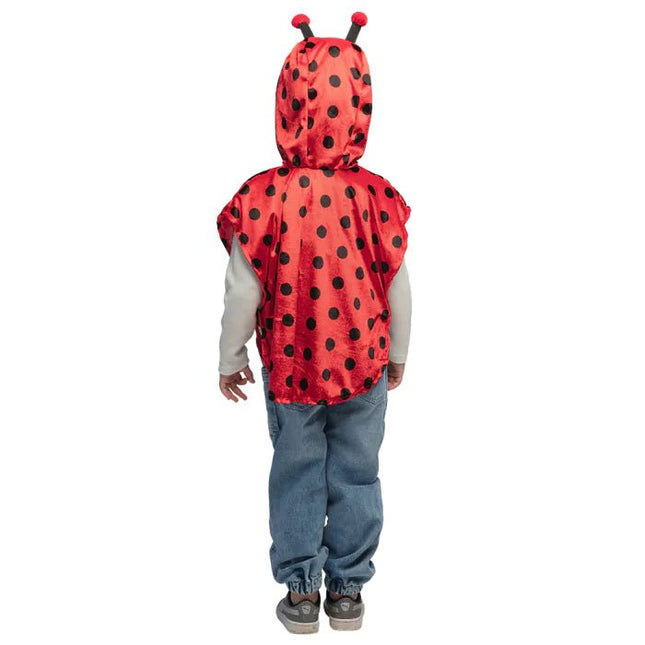 Lieveheersbeestje Poncho Kind van Boland koop je bij Partywinkel