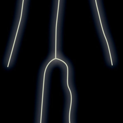 Morphsuit Stick Man L van Fiestas Guirca koop je bij Partywinkel