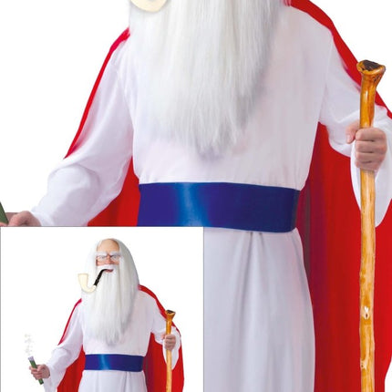 Panoramix Kostuum Asterix en Obelix van Fiestas Guirca koop je bij Partywinkel