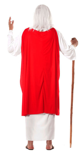 Panoramix Kostuum Asterix en Obelix van Fiestas Guirca koop je bij Partywinkel