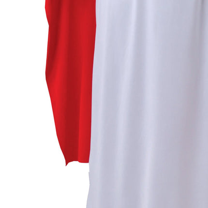 Panoramix Kostuum Asterix en Obelix van Fiestas Guirca koop je bij Partywinkel