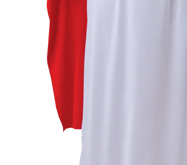 Panoramix Kostuum Asterix en Obelix van Fiestas Guirca koop je bij Partywinkel