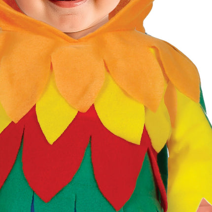 Papegaaien Kostuum Regenboog Baby Onesie van Fiestas Guirca koop je bij Partywinkel