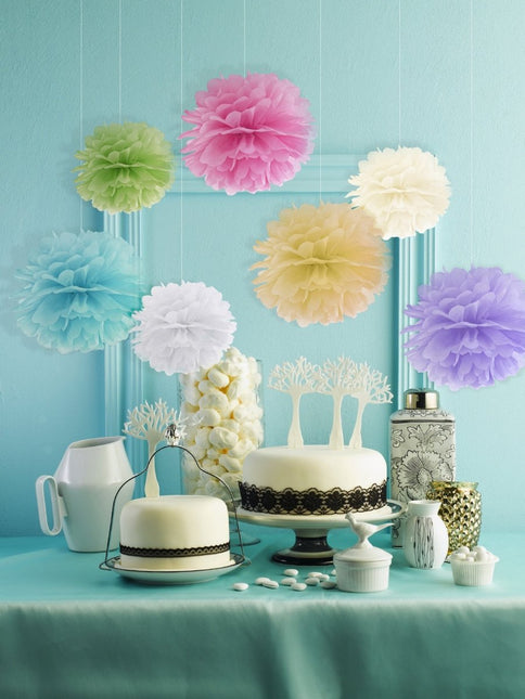 Pompon Wit 25cm van Partydeco koop je bij Partywinkel