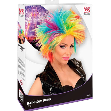 Regenboog Pruik van Widmann koop je bij Partywinkel