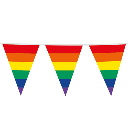 Regenboog Slinger 45Cm Vlaggen 10m van WeFiesta koop je bij Partywinkel