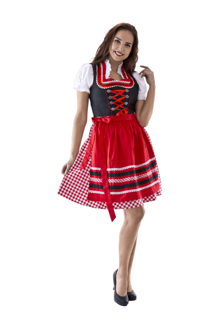 Rood Witte Dirndl Jurk Oktoberfest Dames Geruit van Haus Huberts koop je bij Partywinkel