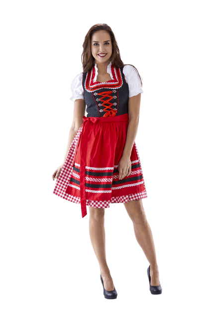 Rood Witte Dirndl Jurk Oktoberfest Dames Geruit van Haus Huberts koop je bij Partywinkel