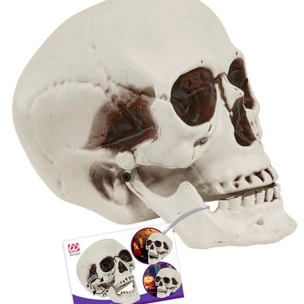 SCHEDEL MET BEWEEGBARE KAAK 28 CM van Widmann koop je bij Partywinkel