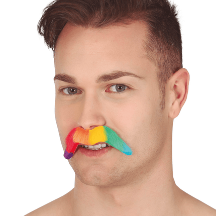 Snor Regenboog van Fiestas Guirca koop je bij Partywinkel