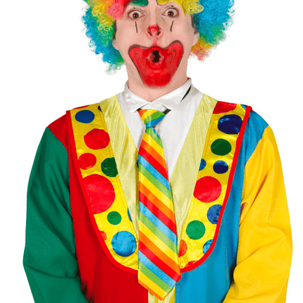 Stropdas Gekleurd 40cm van Fiestas Guirca koop je bij Partywinkel