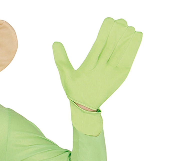 Teletubbie Pak L van Fiestas Guirca koop je bij Partywinkel