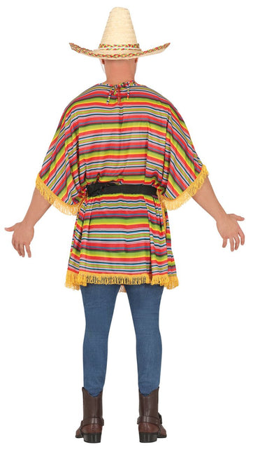 Tequila Poncho van Fiestas Guirca koop je bij Partywinkel