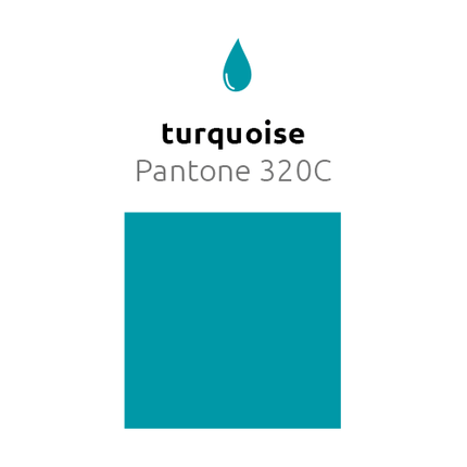 Turquoise Reuze Ballon 60cm van Balloonia koop je bij Partywinkel