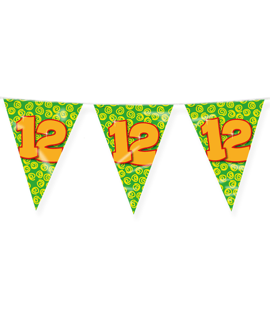 Vlaggenlijn 12 Jaar Gekleurd 10m van Paper Dreams koop je bij Partywinkel