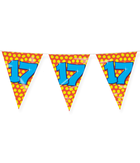 Vlaggenlijn 17 Jaar Gekleurd 10m van Paper Dreams koop je bij Partywinkel