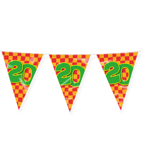 Vlaggenlijn 20 Jaar Gekleurd 10m van Paper Dreams koop je bij Partywinkel