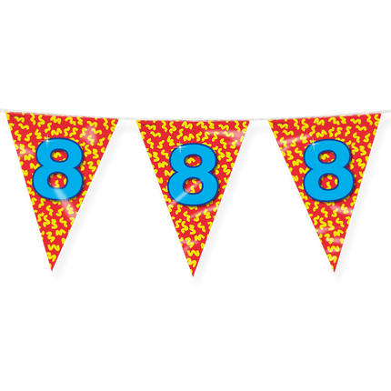 Vlaggenlijn 8 Jaar Gekleurd 10m van Paper Dreams koop je bij Partywinkel