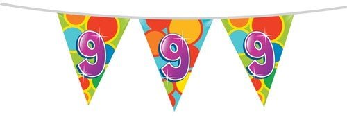 Vlaggenlijn 9 Jaar 10m van Haza Witbaard koop je bij Partywinkel