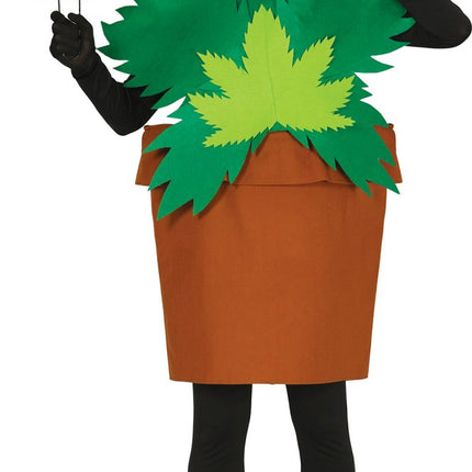 Wietplant Kostuum L van Fiestas Guirca koop je bij Partywinkel