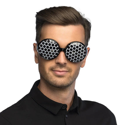 Zwarte Bril Insect van Boland koop je bij Partywinkel